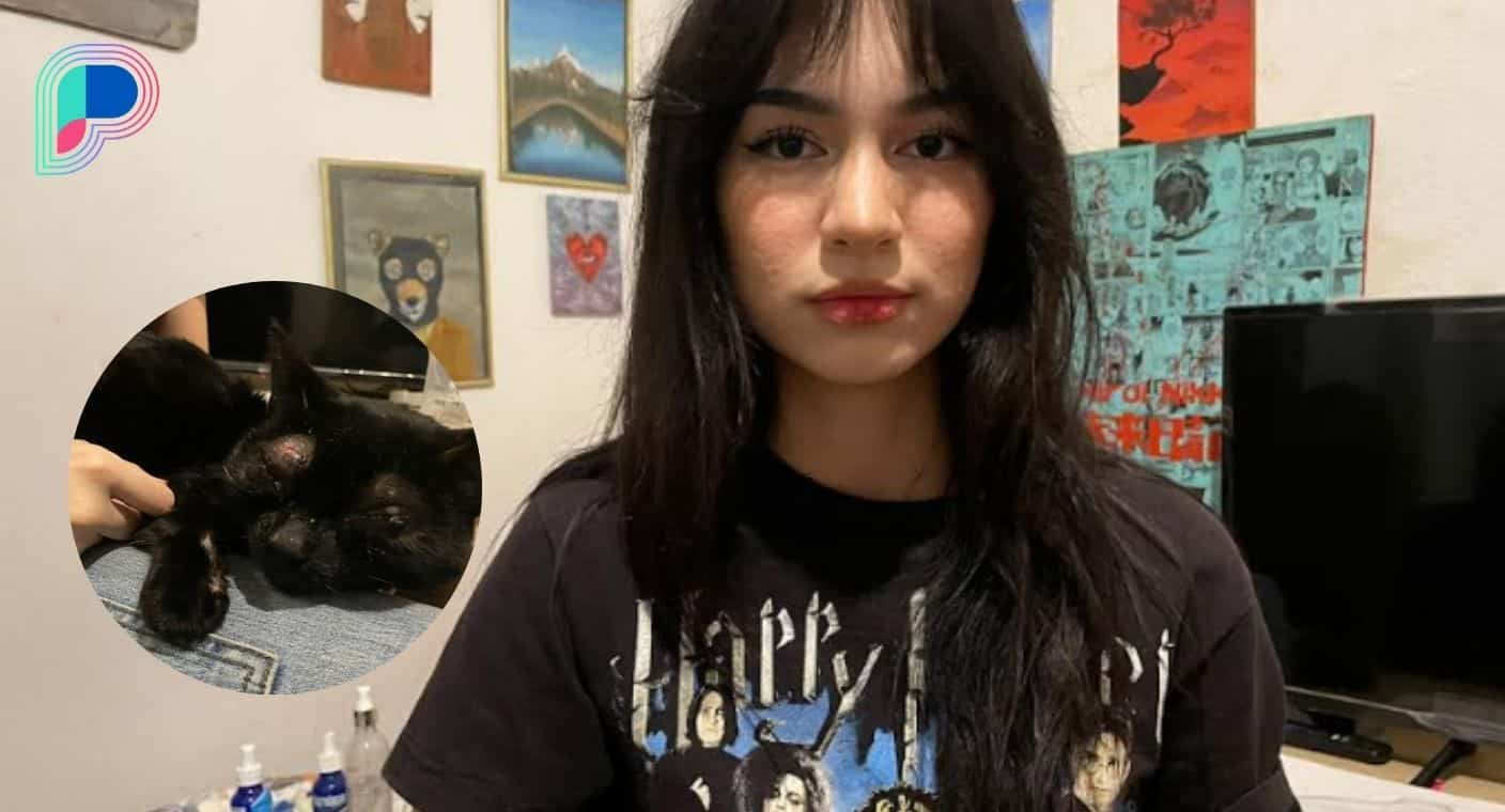 Solicita Ivone apoyo para gastos médicos del gato Panther, que rescató con enfermedades, en Hermosillo