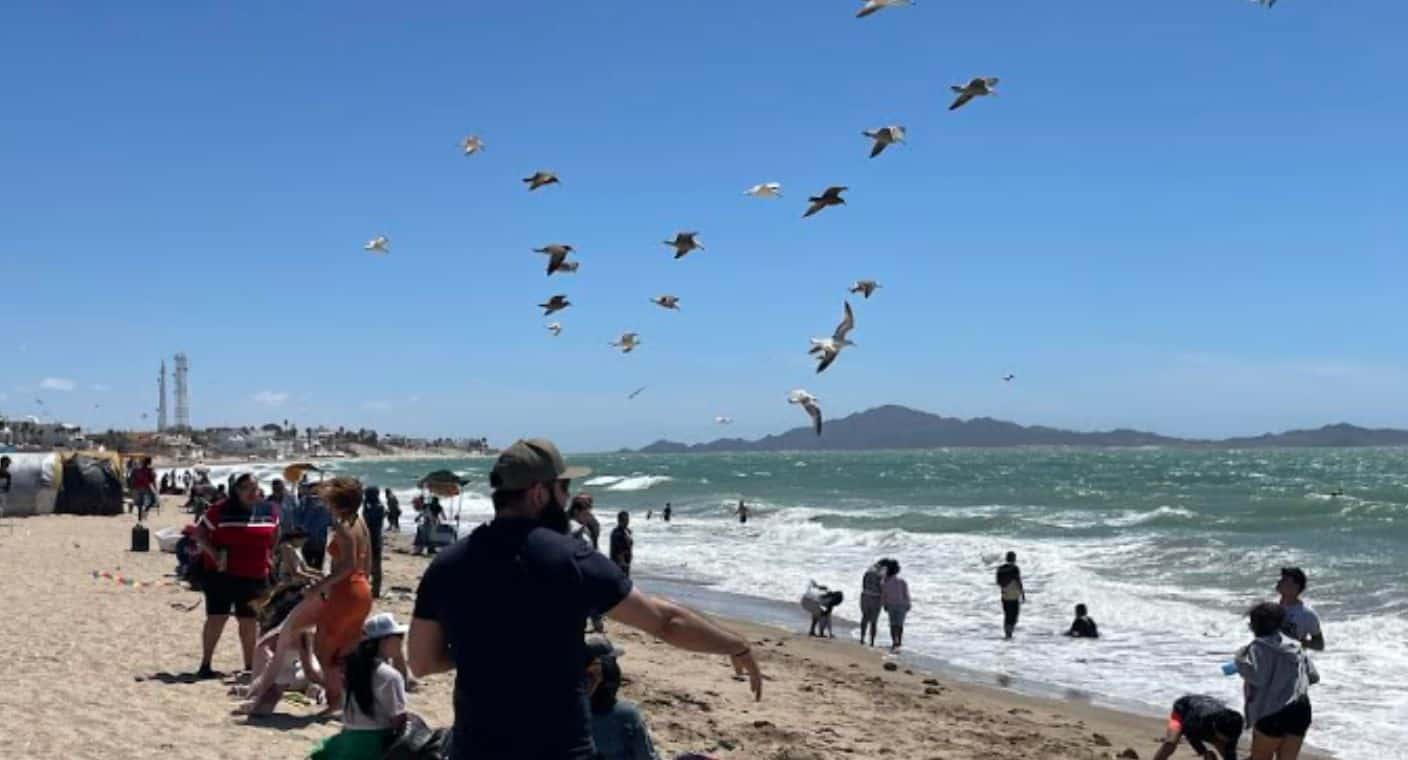 Inicia Semana Santa con poca afluencia en Bahía de Kino
