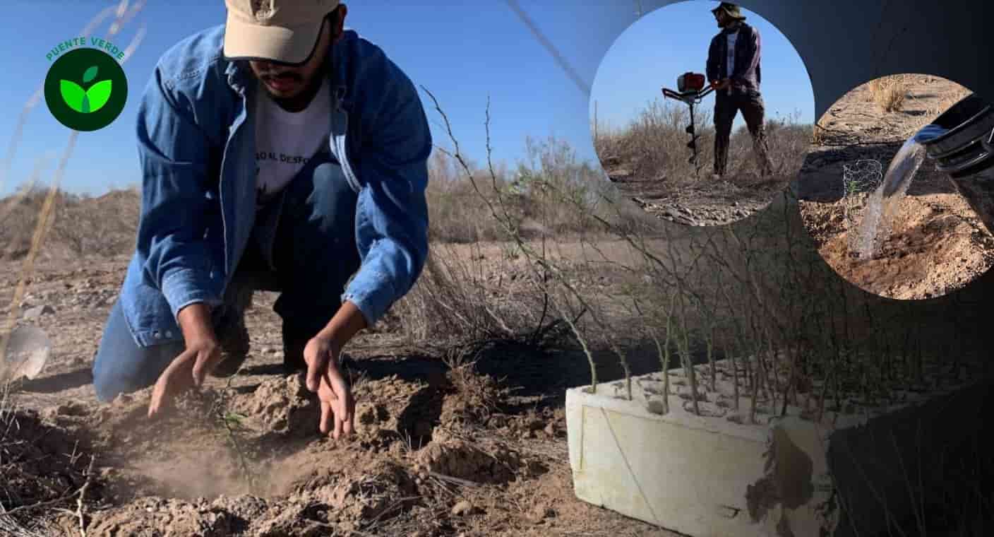 En un año, Naturalia reforestó con más de 2 mil plantas endémicas en el Parque Metropolitano de Hermosillo