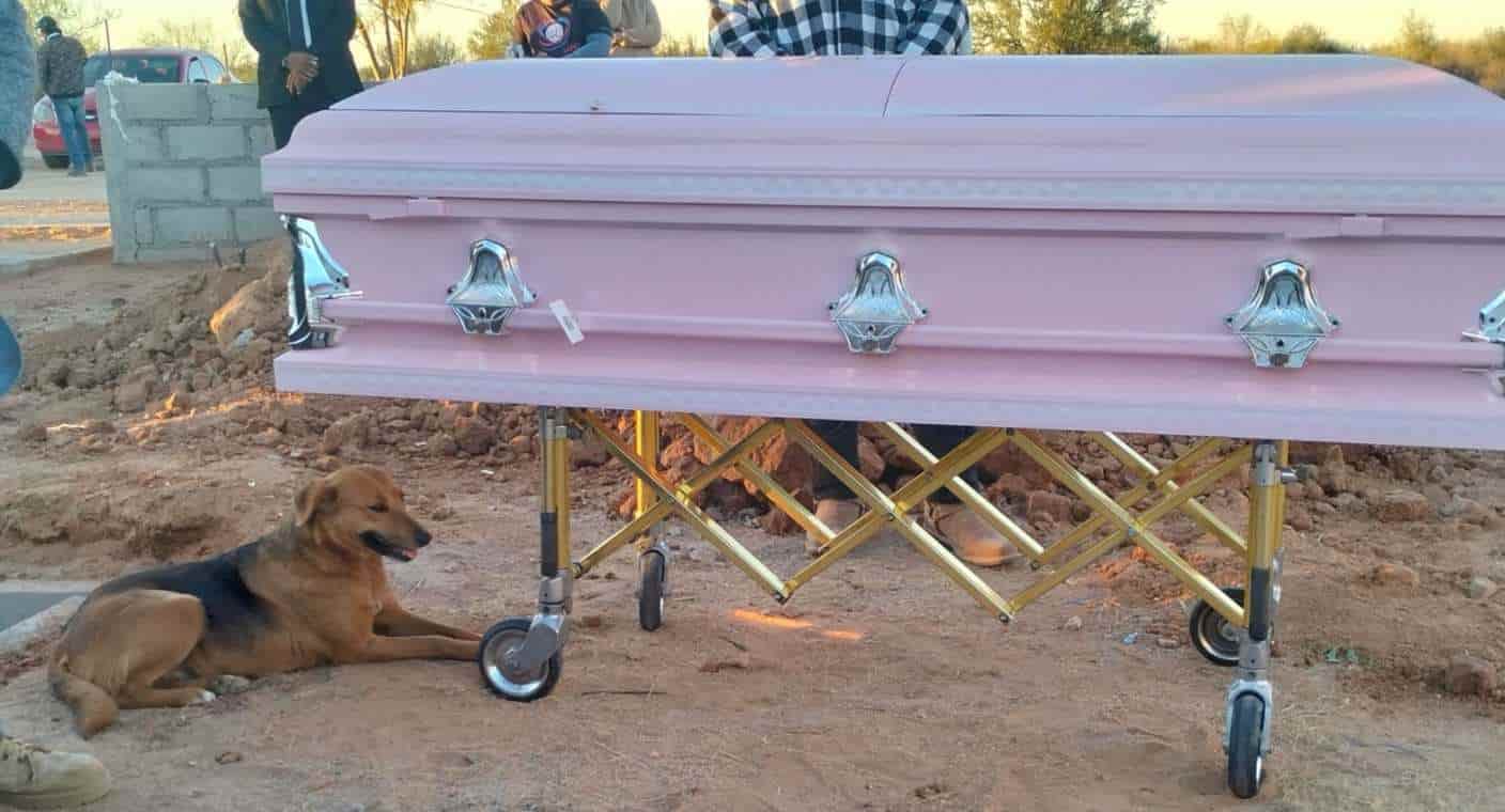 “El amor más puro sincero”: Perrito despide y acompaña la tumba de su dueña tras ser localizada sin vida, en Sonora
