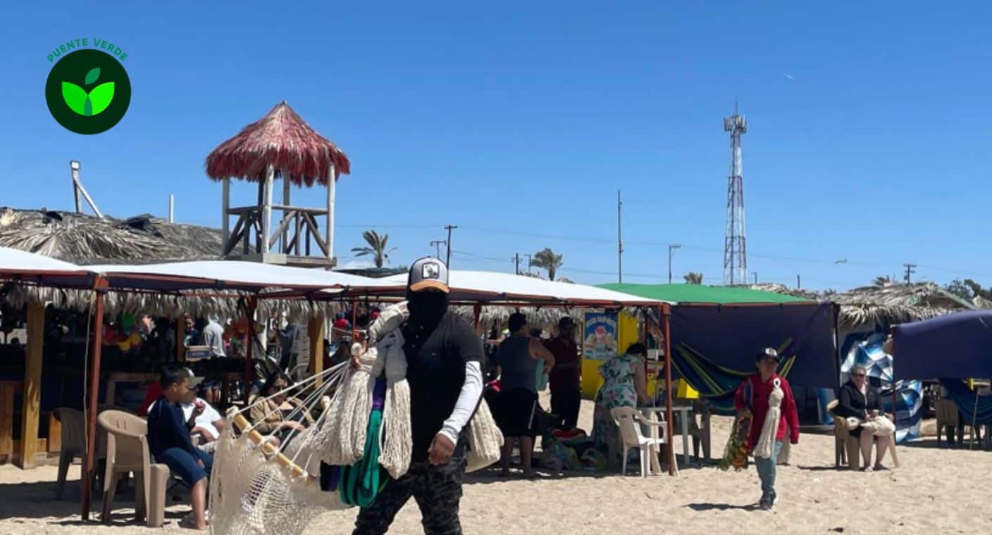 Conoce cómo puedes cuidar las playas de Sonora sin tirar basura en vacaciones de Semana Santa