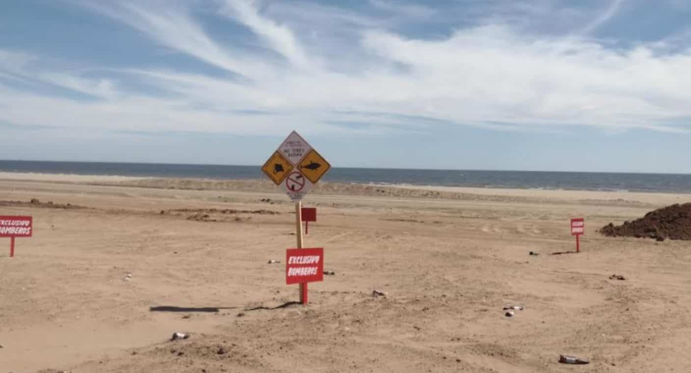 Ante presencia de tiburones y mantarrayas, colocan señalamientos en playas de Huatabampo
