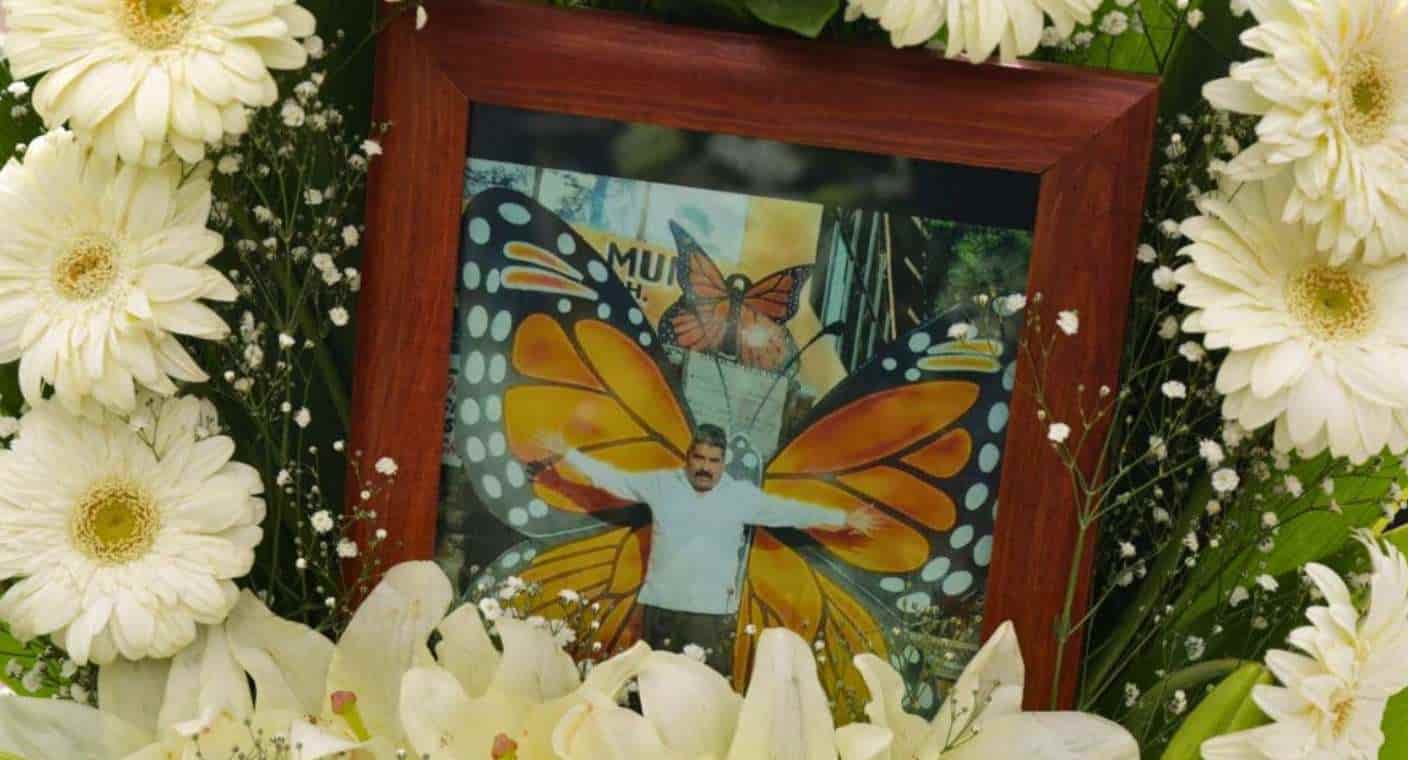 Documental sobre el mexicano Homero Gómez, defensor de la mariposa monarca, llega a cines y Netflix