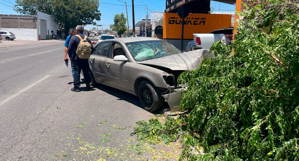 Conductor se estrella contra árbol en la colonia San Benito, de Hermosillo, por ir a exceso de velocidad