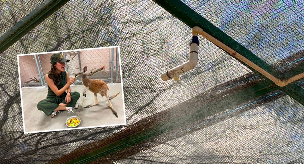 Centro Ecológico toma medidas para cuidar a los animales del calor de Sonora