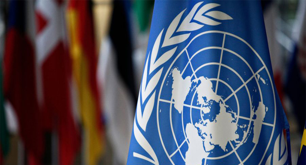 Comercio de flora y fauna propicia cambio climático: ONU