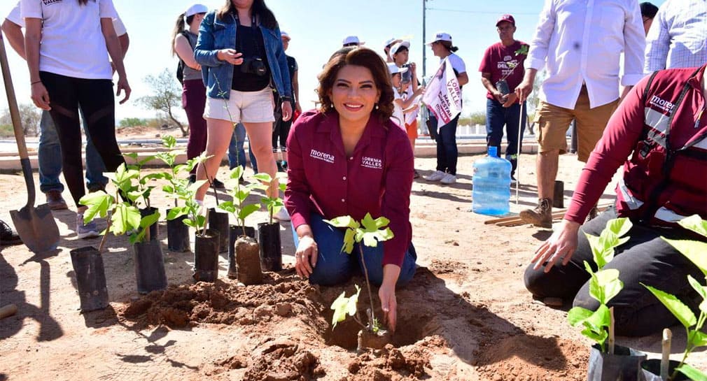 Cuidar el medio ambiente es prioridad de Morena, afirma Lorenia Valles en jornada de reforestación en colonia Pueblitos de Hermosillo