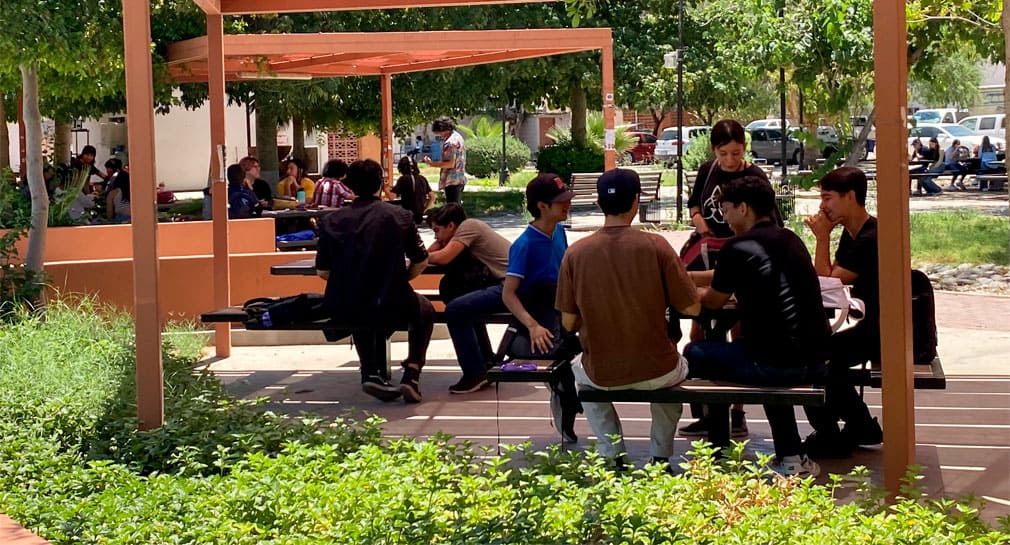 Llenan estudiantes espacios de la Unison en su regreso a clases tras la huelga