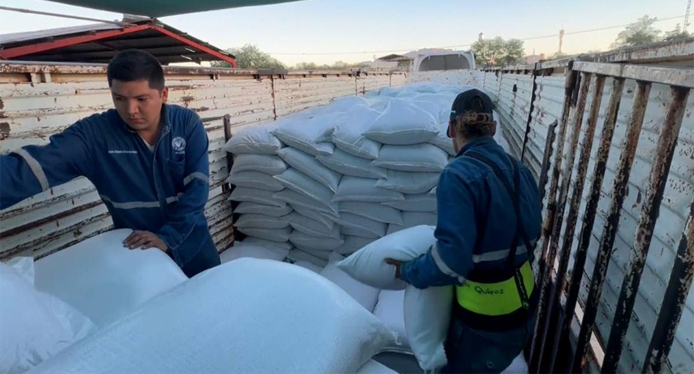 Entregan cerca de 300 toneladas de alimento proteínico a pequeños ganaderos en Sonora