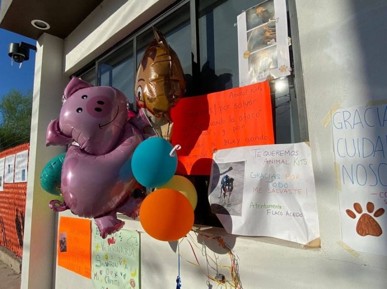 Ciudadanos muestran apoyo a veterinaria Animal Kits tras denuncia por