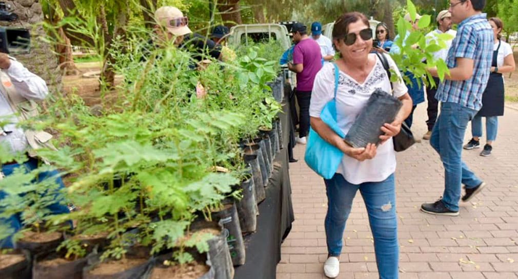 Donan más de 600 árboles nativos e imparten pláticas en Parque Madero, de Hermosillo