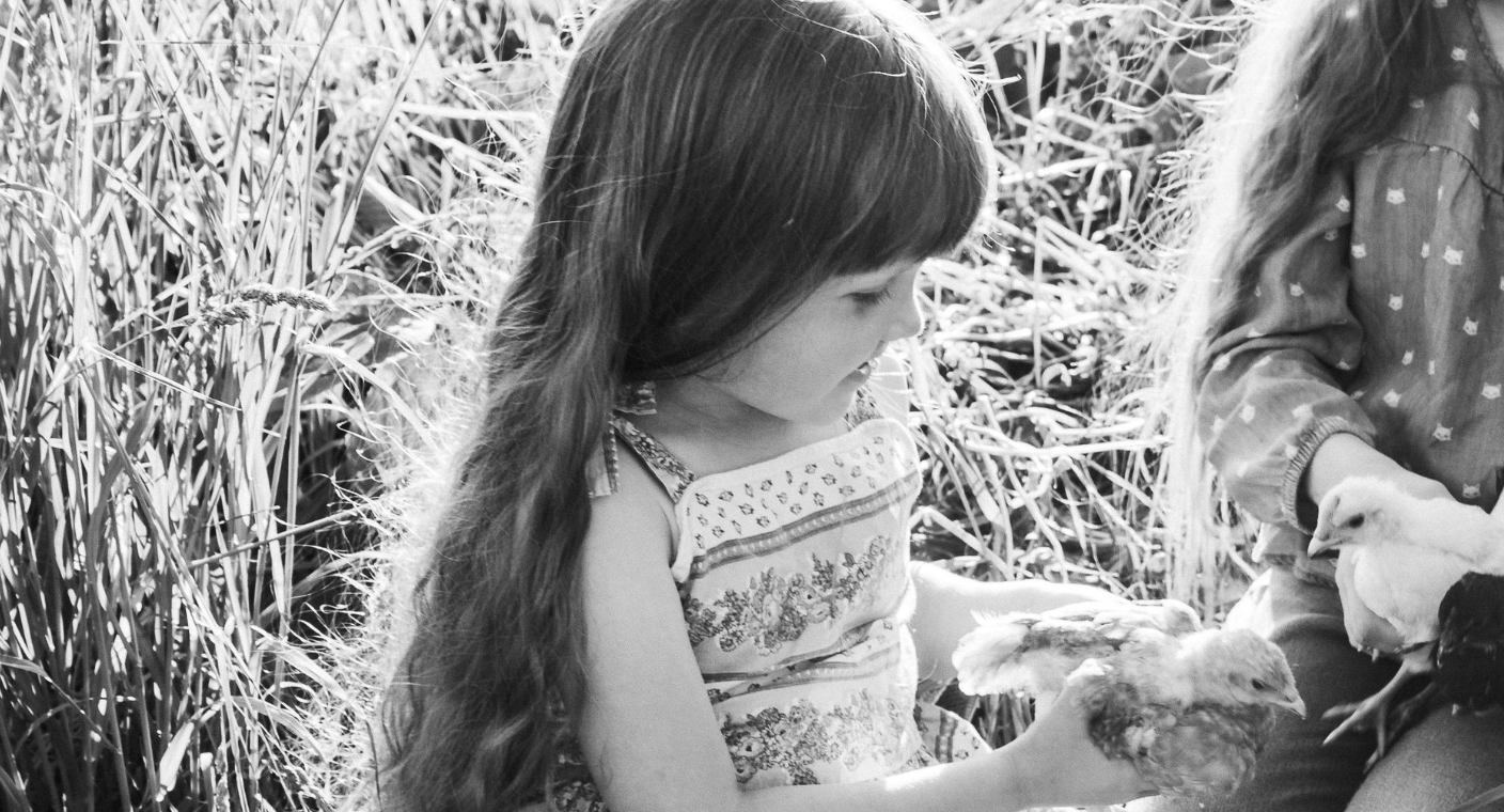 OMS confirma primer caso humano de gripe aviar en niña de dos años en Australia: “tiene un potencial alto impacto sanitario”