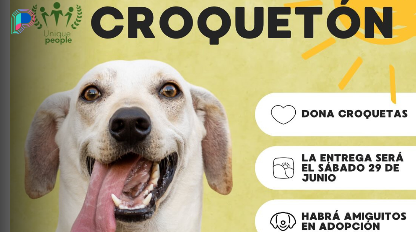 Assist animal safety societies and rescuers within the subsequent Croquetón de Hermosillo – Proyecto Puente