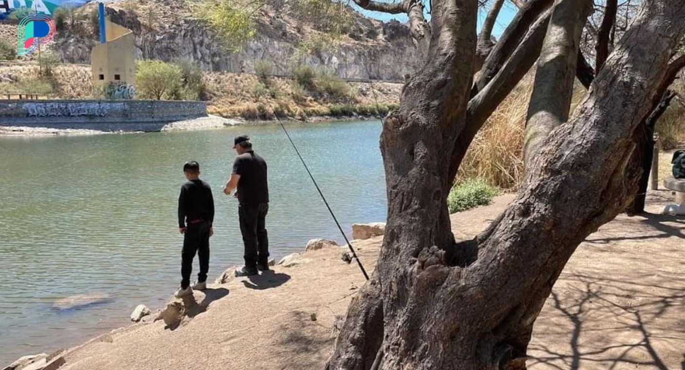 ¡No alimentes a los patos de La Sauceda! Protege a las especies que habitan el humedal en Hermosillo