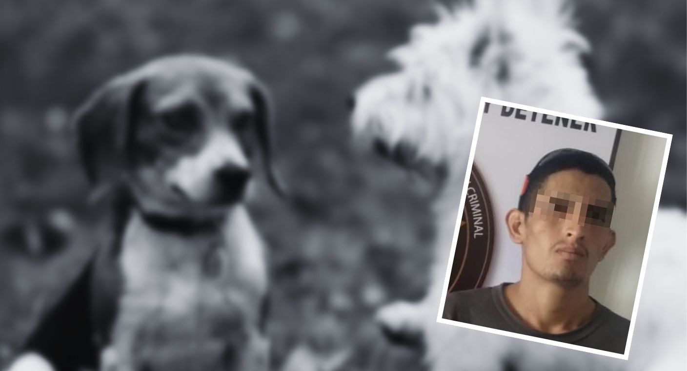 Vinculan a proceso por maltrato animal a hombre por muerte de dos perritos en Valle del Yaqui