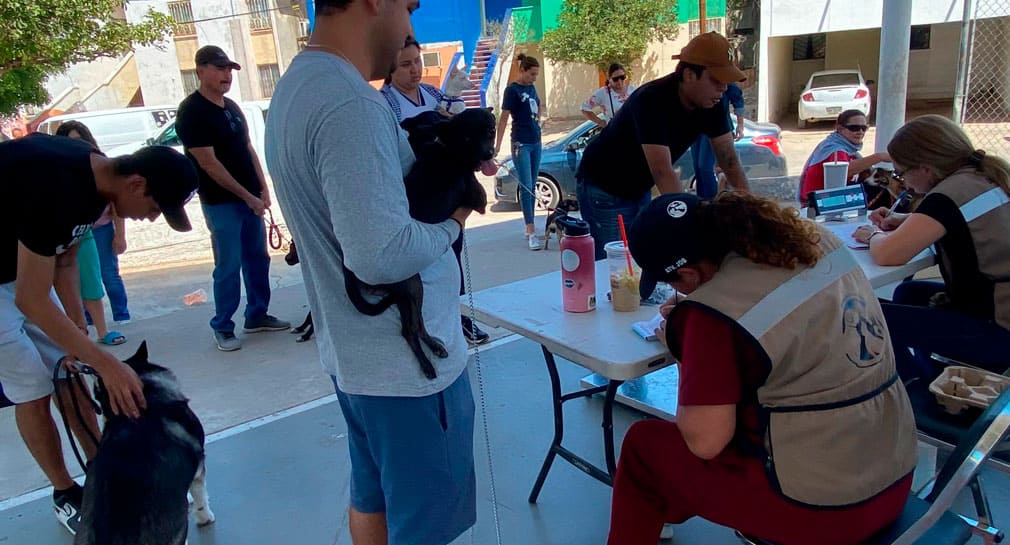 Realizan Jornada de Bienestar Animal en colonia Nuevo Hermosillo, con varios servicios para las mascotas