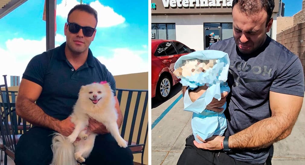 Denuncian propietarios negligencia en muerte de ‘Channel’, perrita que fue llevada a veterinaria para limpieza dental en Hermosillo
