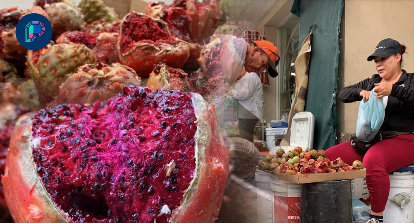 Para vender las tradicionales pitahayas, Karina Coronado viaja de Carbó a Hermosillo desde hace 6 años