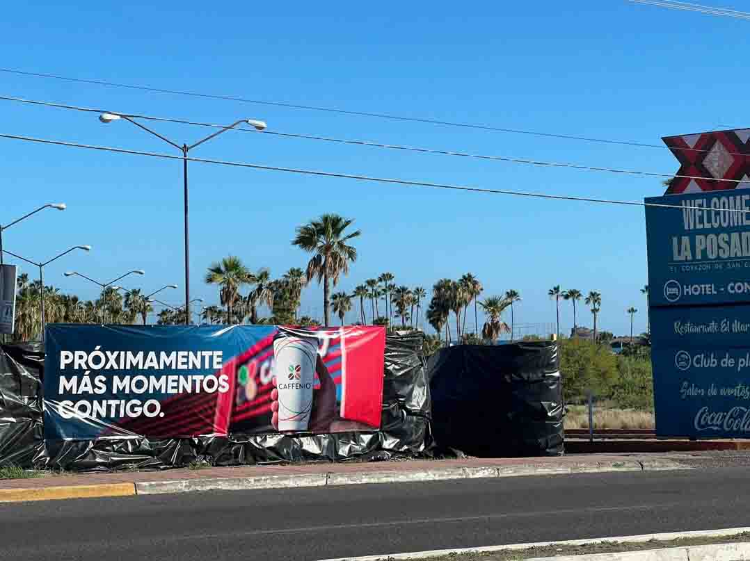 ¡San Carlos por fin tendrá Caffenio! Internautas celebran posible apertura de sucursal en Guaymas