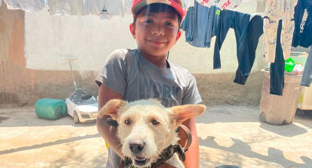 Óscar y ‘Copitonata’: Niño y su perrito atraviesan Hermosillo para visitar tumba de madre fallecida del ‘lomito’