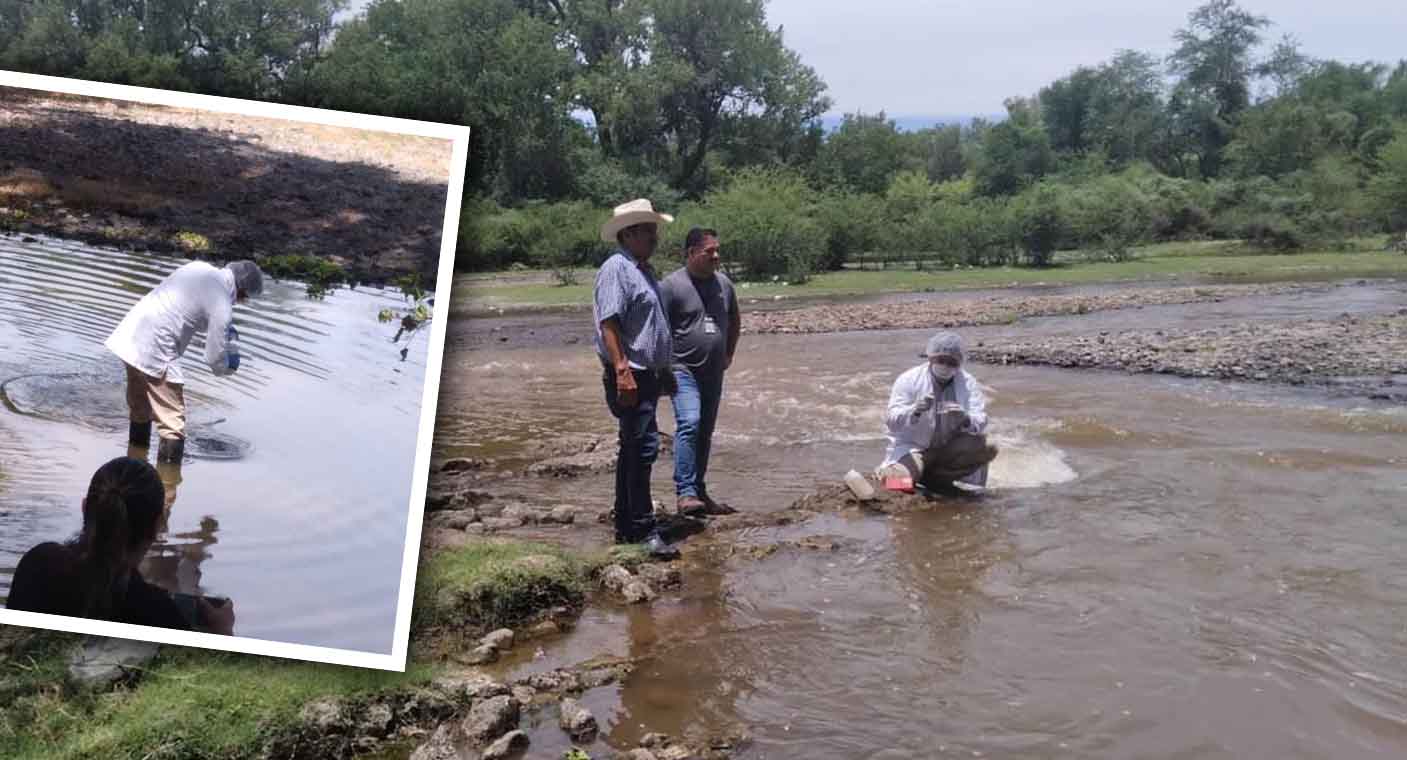 Descartan contaminación en Río Yaqui en Sonora; muerte de peces fue por falta de oxigenación: PC