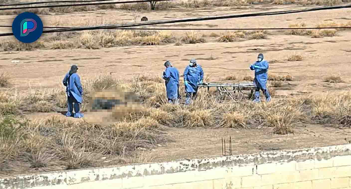 Localizan cuerpo en estado de descomposición en predio baldío al poniente de Hermosillo