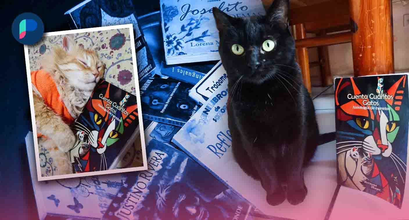 Editorial Minilibros, con más de 14 años de fomento a la lectura, presentará la antología de cuentos ‘Cuenta Cuántos Gatos’ en Hermosillo