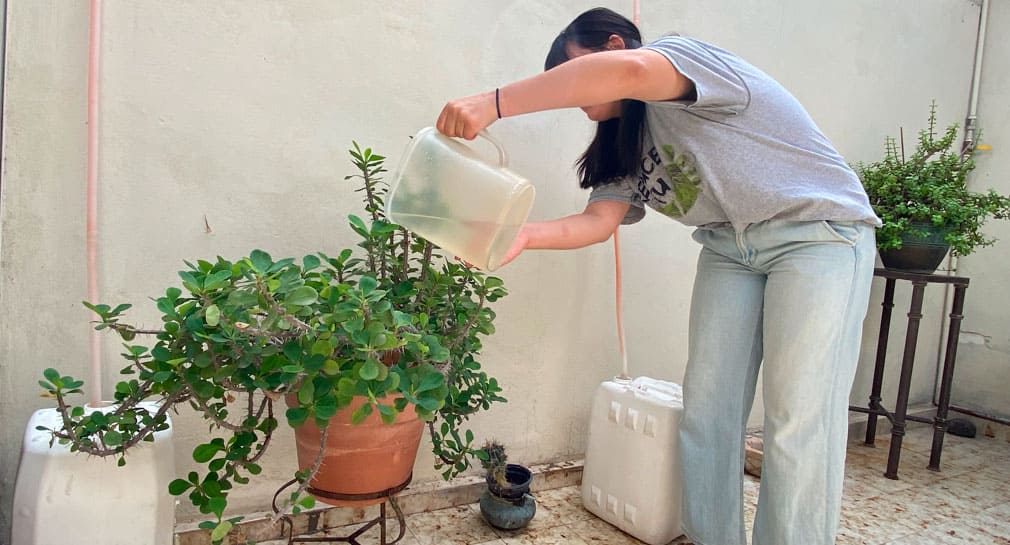 Agua de aires acondicionados puede utilizarse para regar plantas o lavar autos: Reduce tu Huella
