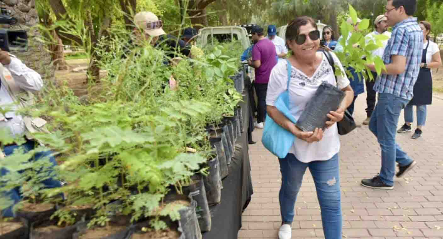 ¿Quieres un árbol nativo? El Vivero de Hermosillo donará amapa, palo verde, mezquite y otras plantas endémicas