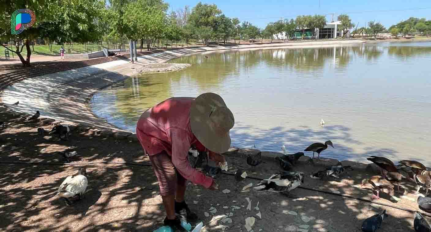 Don José alimenta a los animales de la Laguna del Nainari desde hace 20 años en Ciudad Obregón
