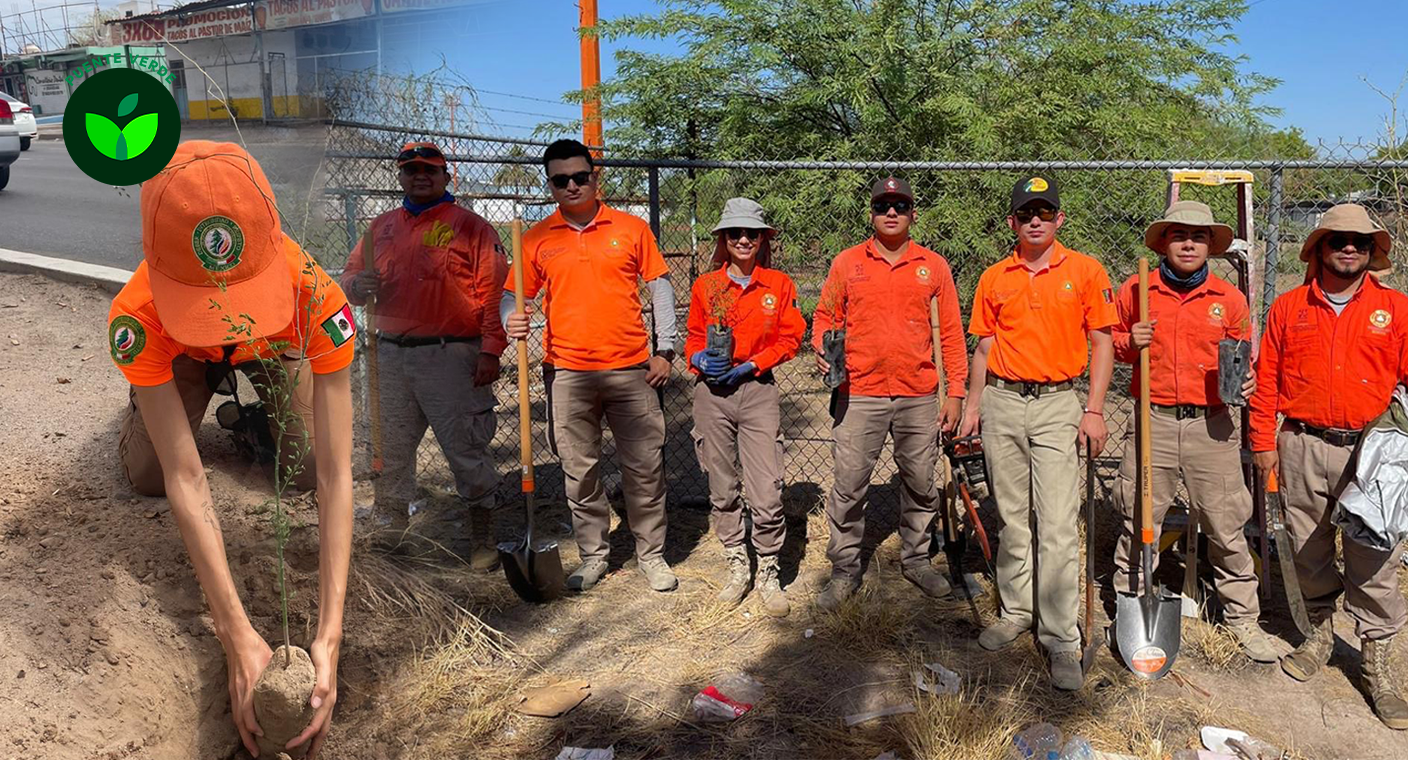 ¡Más árboles en Hermosillo! Promueven cuidado del medio ambiente con reforestación de parques y bulevares en la ciudad
