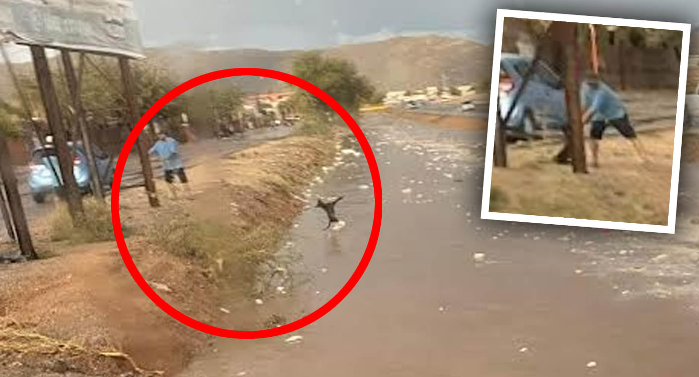 Investigan a hombre por presuntamente aventar un perro a canal en Hermosillo