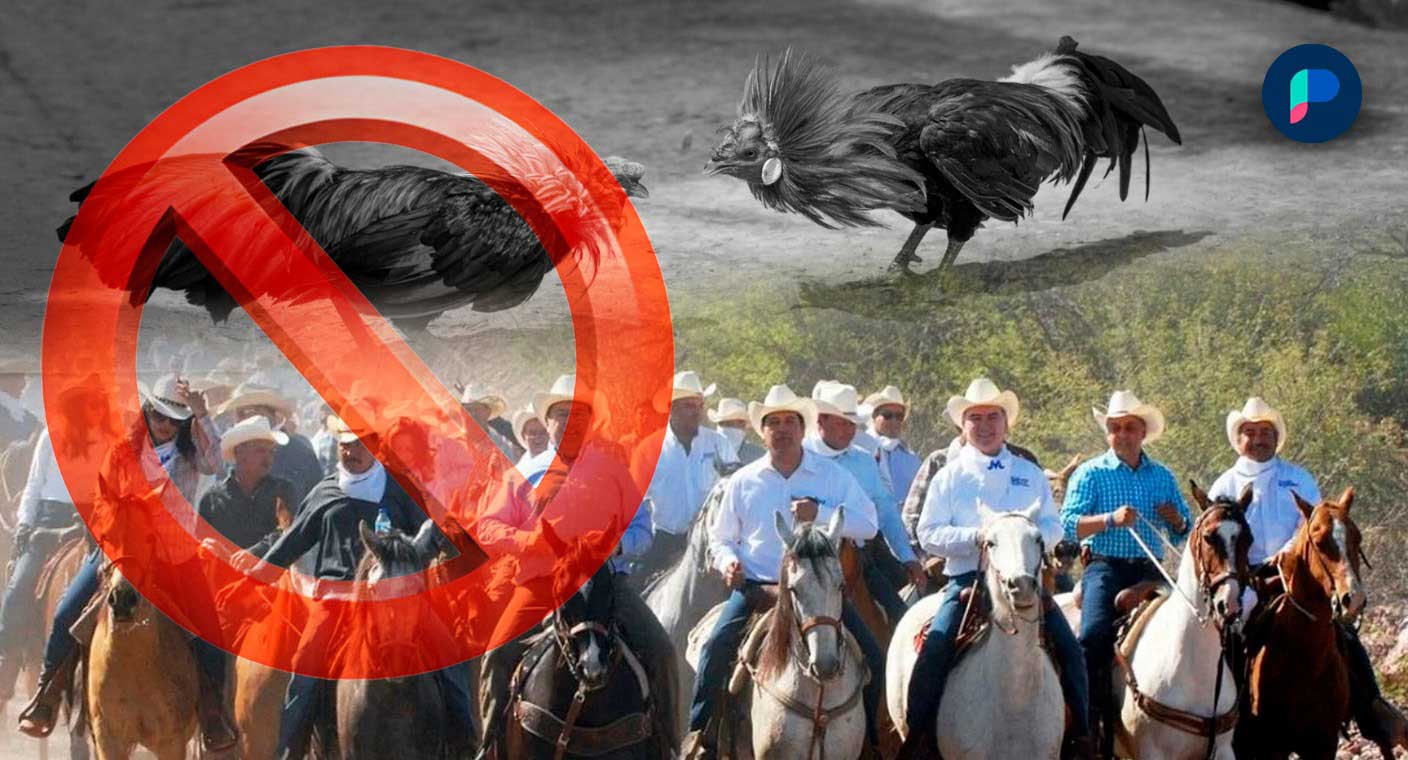 Regulan cabalgatas y prohíben peleas de perros y gallos con Ley de Protección Animal en Sonora