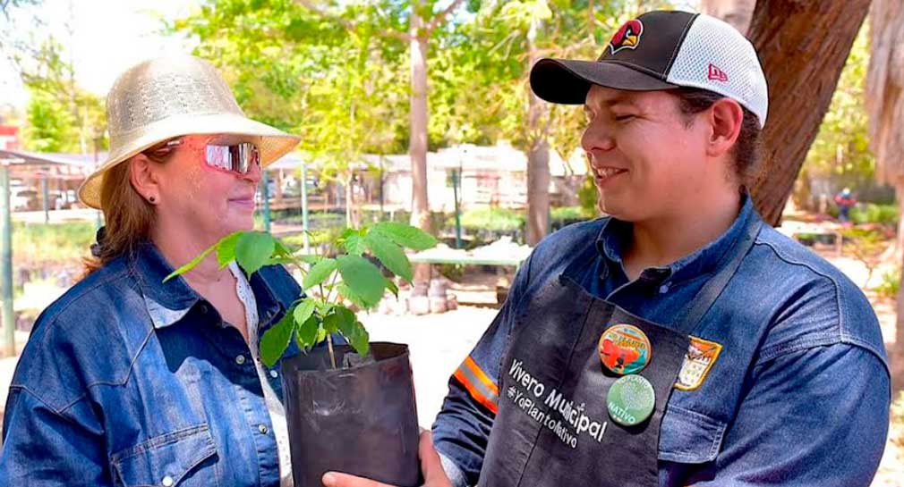 Entregarán árboles nativos en Parque Madero de Hermosillo este 20 de septiembre