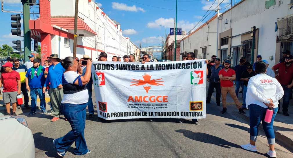 Se manifiestan en contra de prohibición de peleas de gallos en Sonora