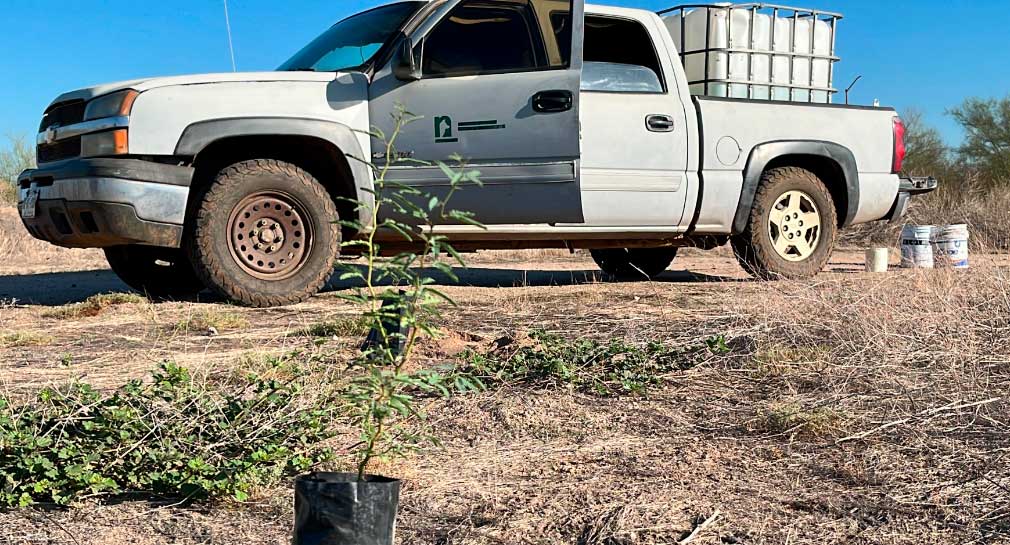 Denuncia asociación ambientalista Naturalia robo de su camioneta para investigaciones en Hermosillo