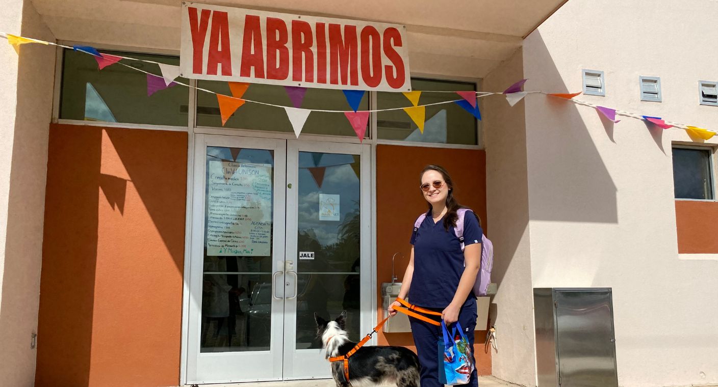 Búho Vet: una clínica especializada en la enseñanza veterinaria en Hermosillo