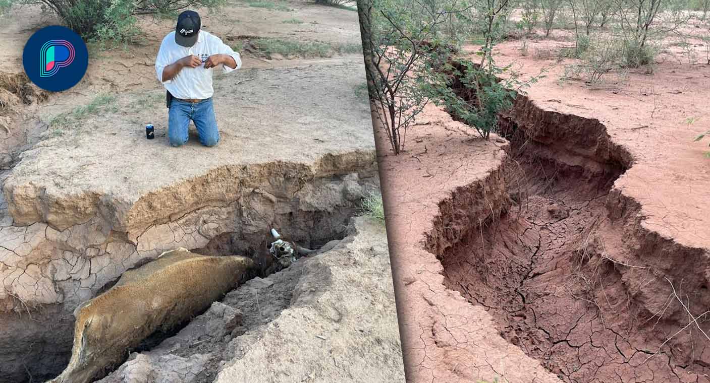A 4 días de la apertura de la tierra en Bahía de Kino, Sonora, autoridades de ningún nivel saben qué ocurrió