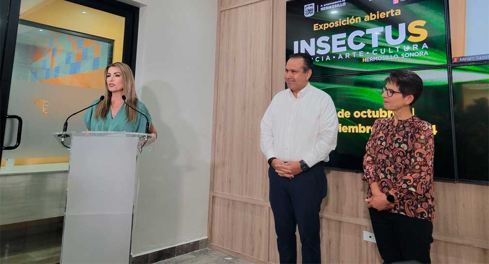 Exposición ‘Insectus’ estará disponible un mes en el parque Madero de Hermosillo