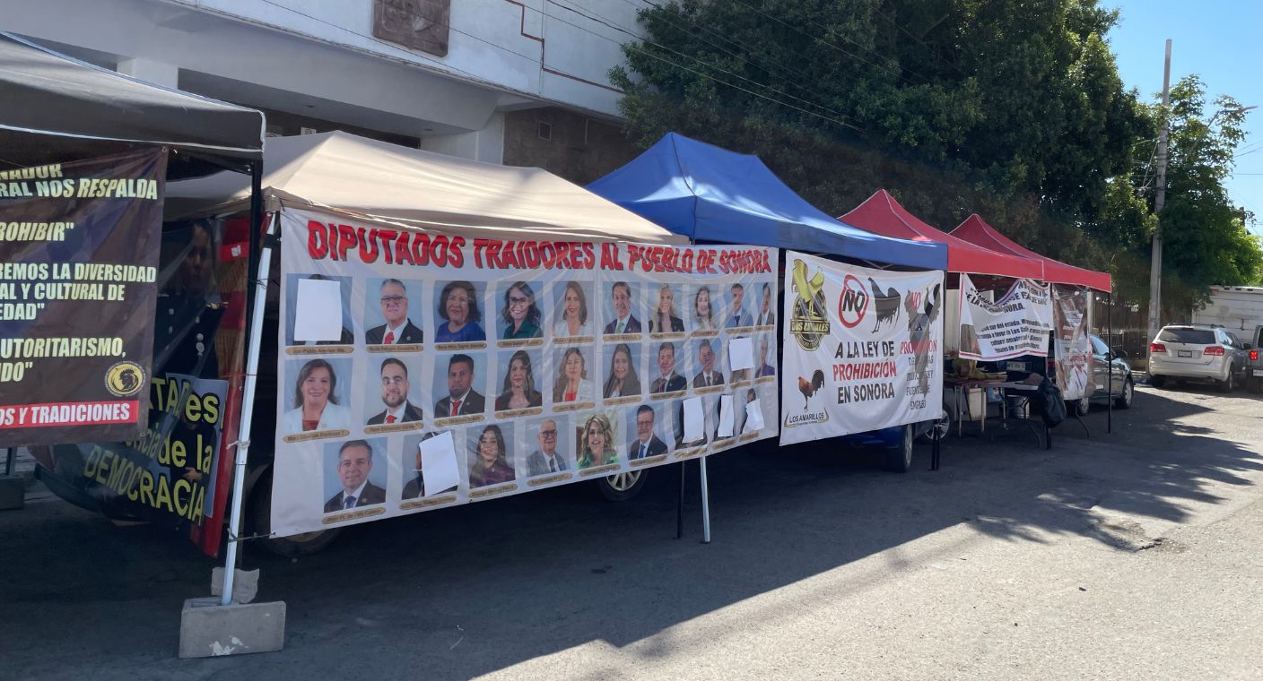 Cumplen galleros una semana de plantón por fuera del Congreso de Sonora en Hermosillo