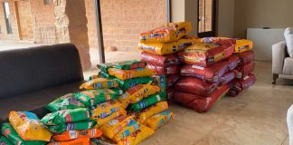 Solicitan apoyo con alimento para perros de Don José, reportado como desaparecido, en Hermosillo