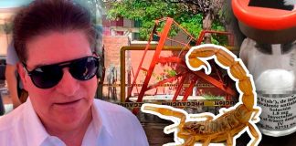 FGR busca determinar “realmente” cuál fue causa de muerte de niña que falleció tras ser picada por alacrán y que no recibió antídoto inmediato en IMSS en Hermosillo