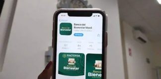 ¿Cómo manejar tu dinero con la app del Banco del Bienestar? Aquí te lo decimos