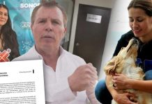 Carolina Araiza deja la Dirección de Protección Animal en Sonora; activistas reclaman su salida