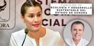 Se burlaban de mi veganismo en Gobierno de Sonora, no me explicaron mi salida, afirma Caro Araiza tras dejar Dirección de Protección Animal