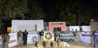Decomisan casi media tonelada de metanfetamina tras operativo en San Luis Río Colorado, Sonora
