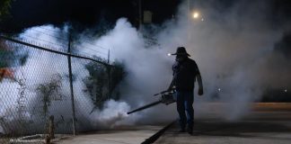 Salud Sonora fumiga más de 154 mil hectáreas para combatir el dengue en 283 localidades