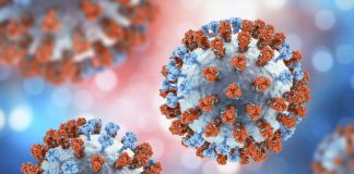 Nueva variante H3N2 subclado K preocupa a autoridades de salud en EEUU