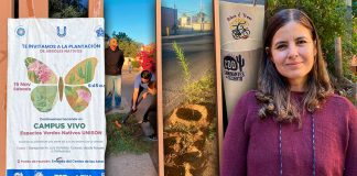 Unison se embellece con plantas nativas: estudiantes y voluntarios reforestan campus de Hermosillo junto a Caminantes del Desierto