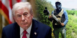 “Haremos lo que sea necesario”, advierte Trump sobre realizar ataques en México contra el narcotráfico